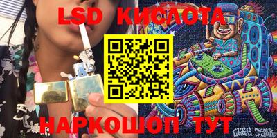 гашик Малгобек