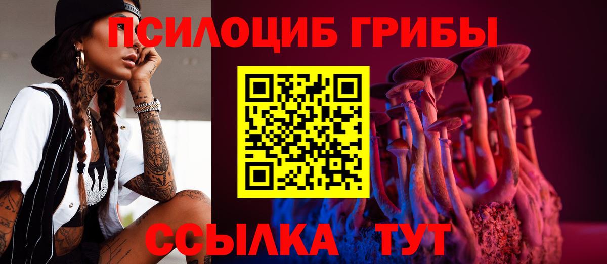 Нарьян-Мар  Псилоцибиновые грибы Cubensis  Вход с VPN 